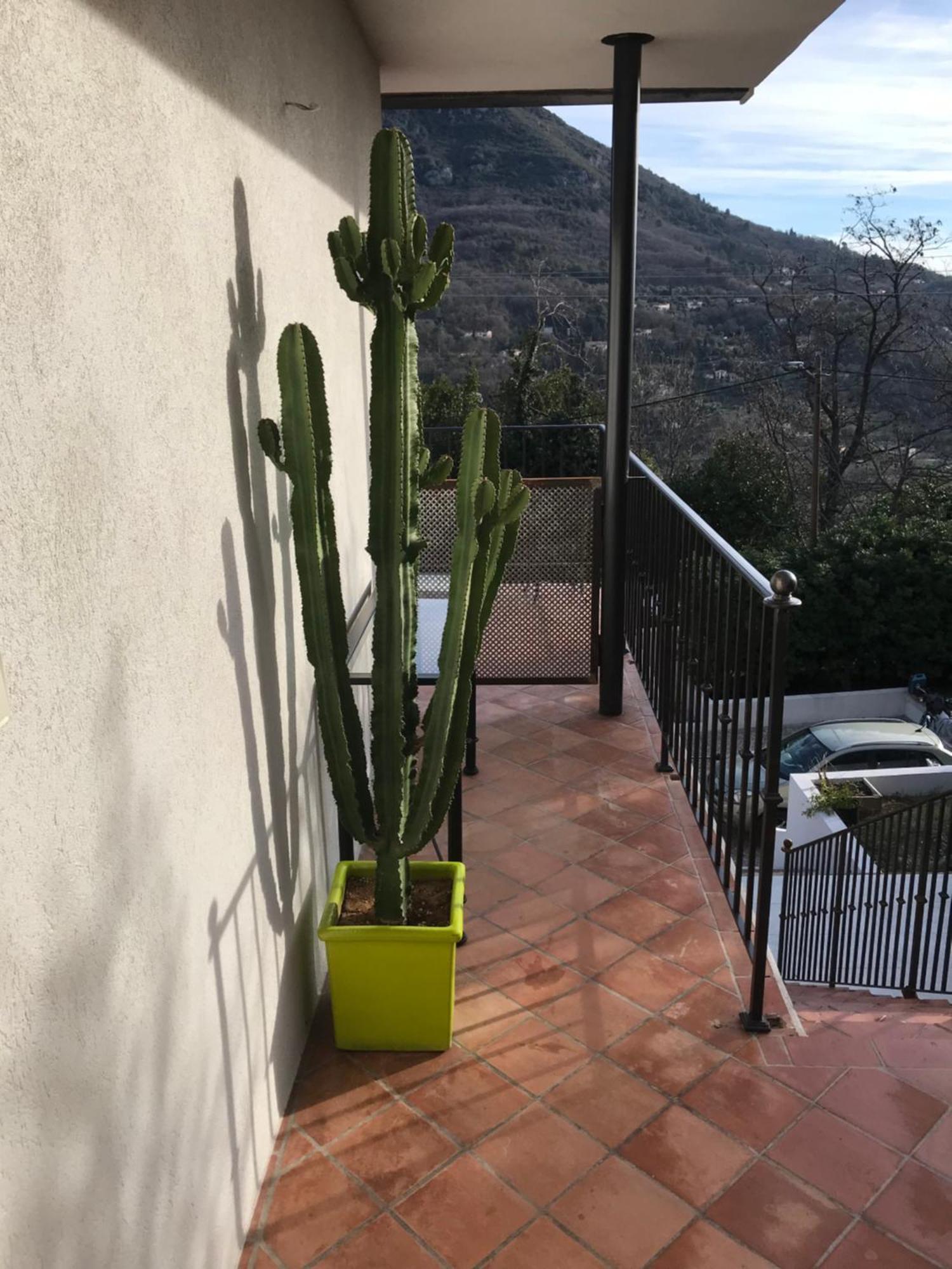 Haut De Villa Avec Vue - Le Bar Sur Loup 06 エクステリア 写真