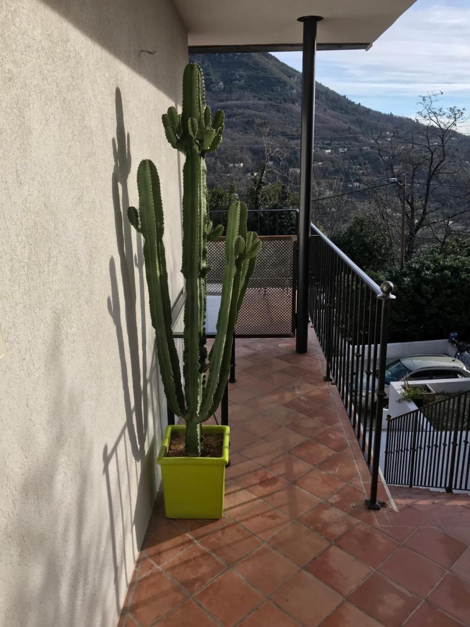 Haut De Villa Avec Vue - Le Bar Sur Loup 06 エクステリア 写真